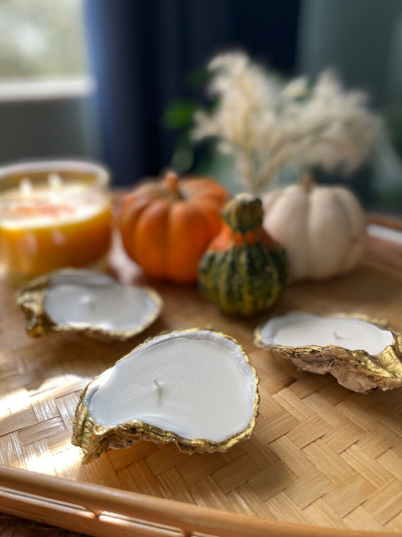 Shell Candle Bundle